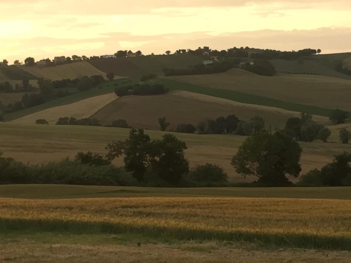 Il Giardino Nella Valle Belvedere Ostrense エクステリア 写真
