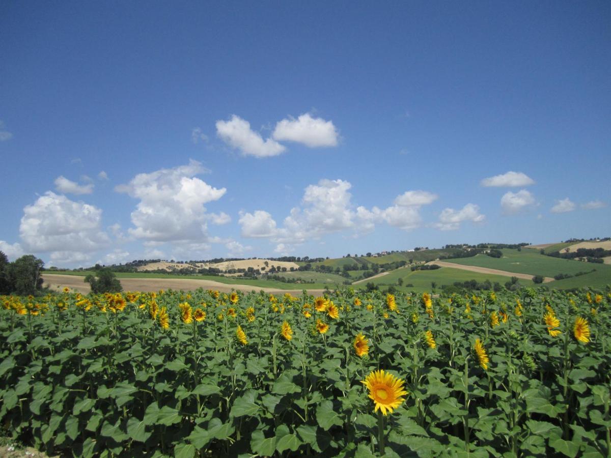 Il Giardino Nella Valle Belvedere Ostrense エクステリア 写真