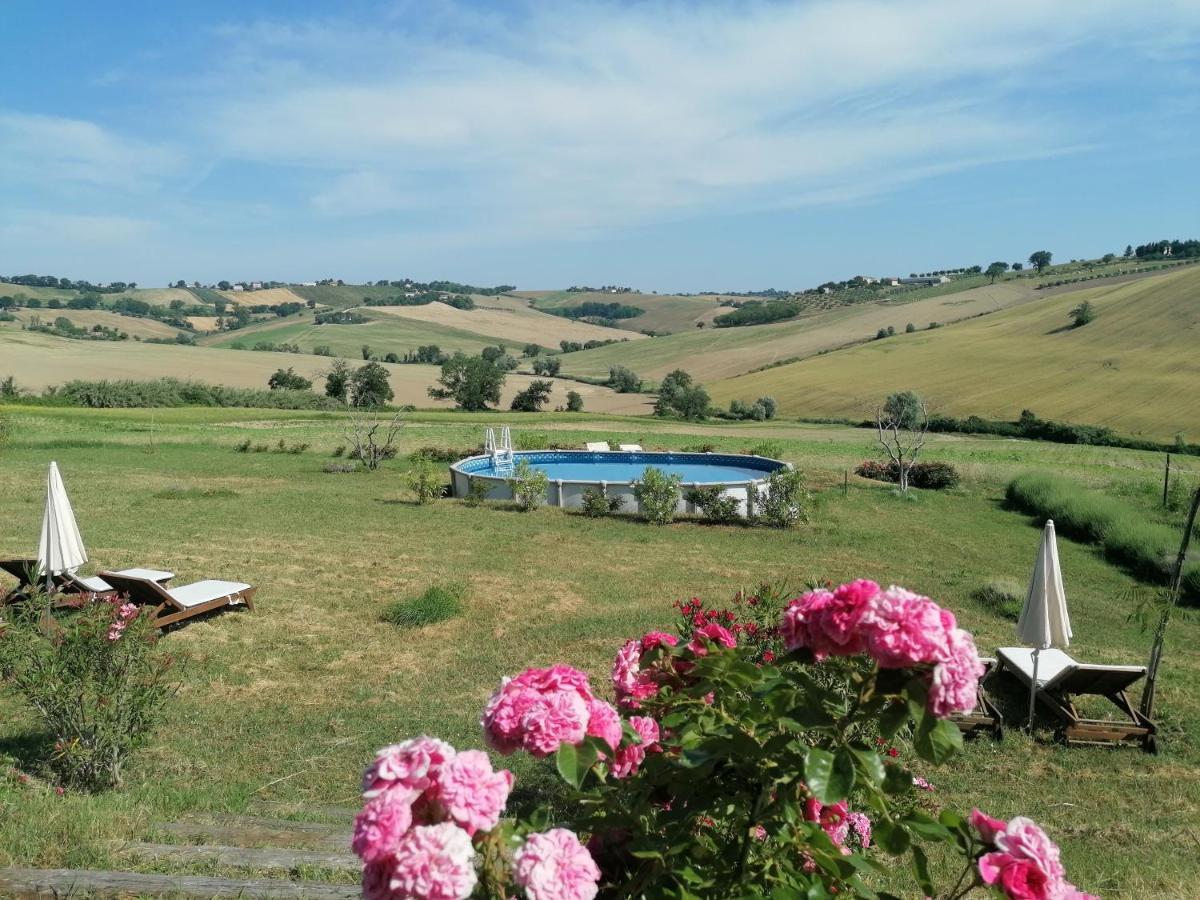 Il Giardino Nella Valle Belvedere Ostrense エクステリア 写真