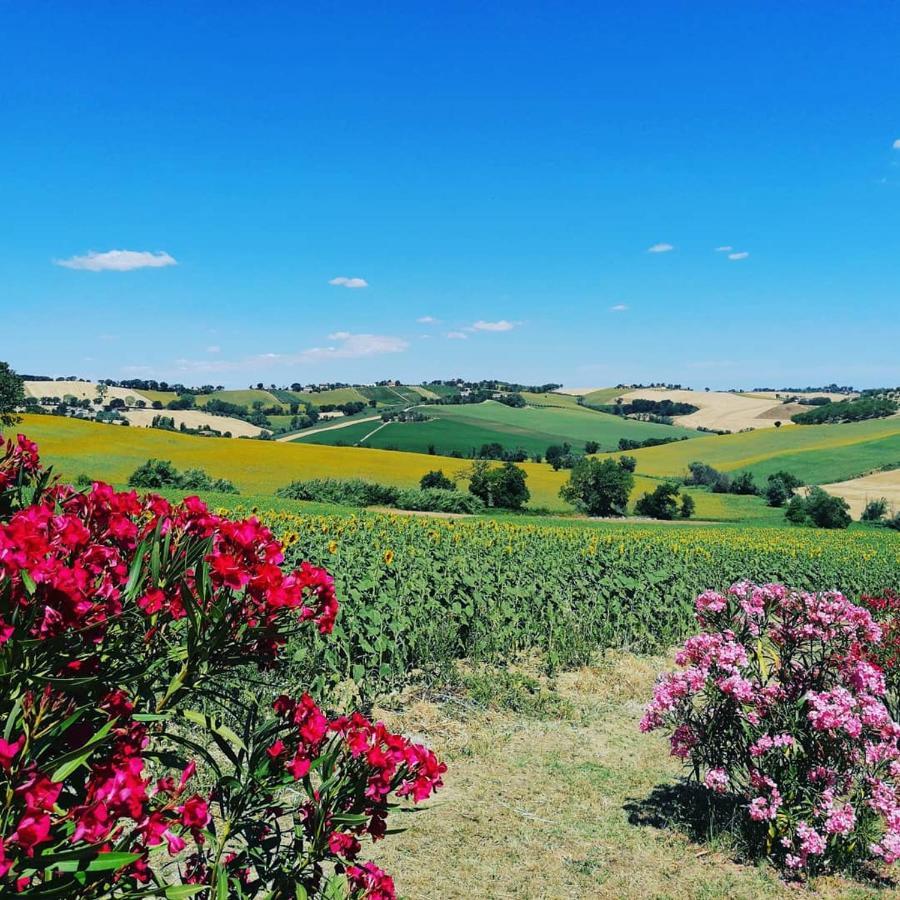 Il Giardino Nella Valle Belvedere Ostrense エクステリア 写真