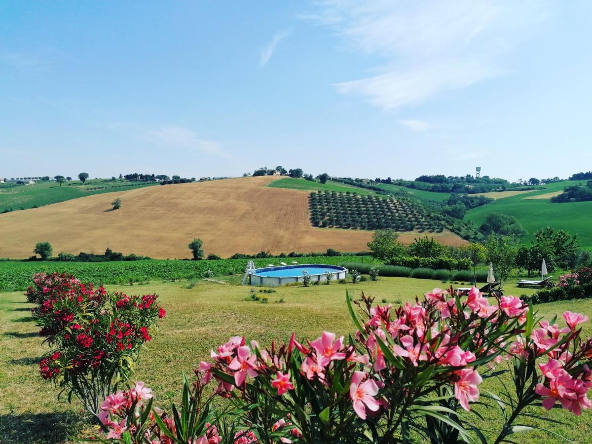Il Giardino Nella Valle Belvedere Ostrense エクステリア 写真