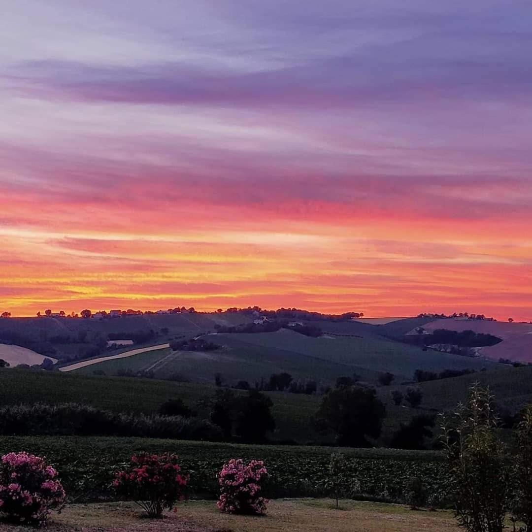 Il Giardino Nella Valle Belvedere Ostrense エクステリア 写真