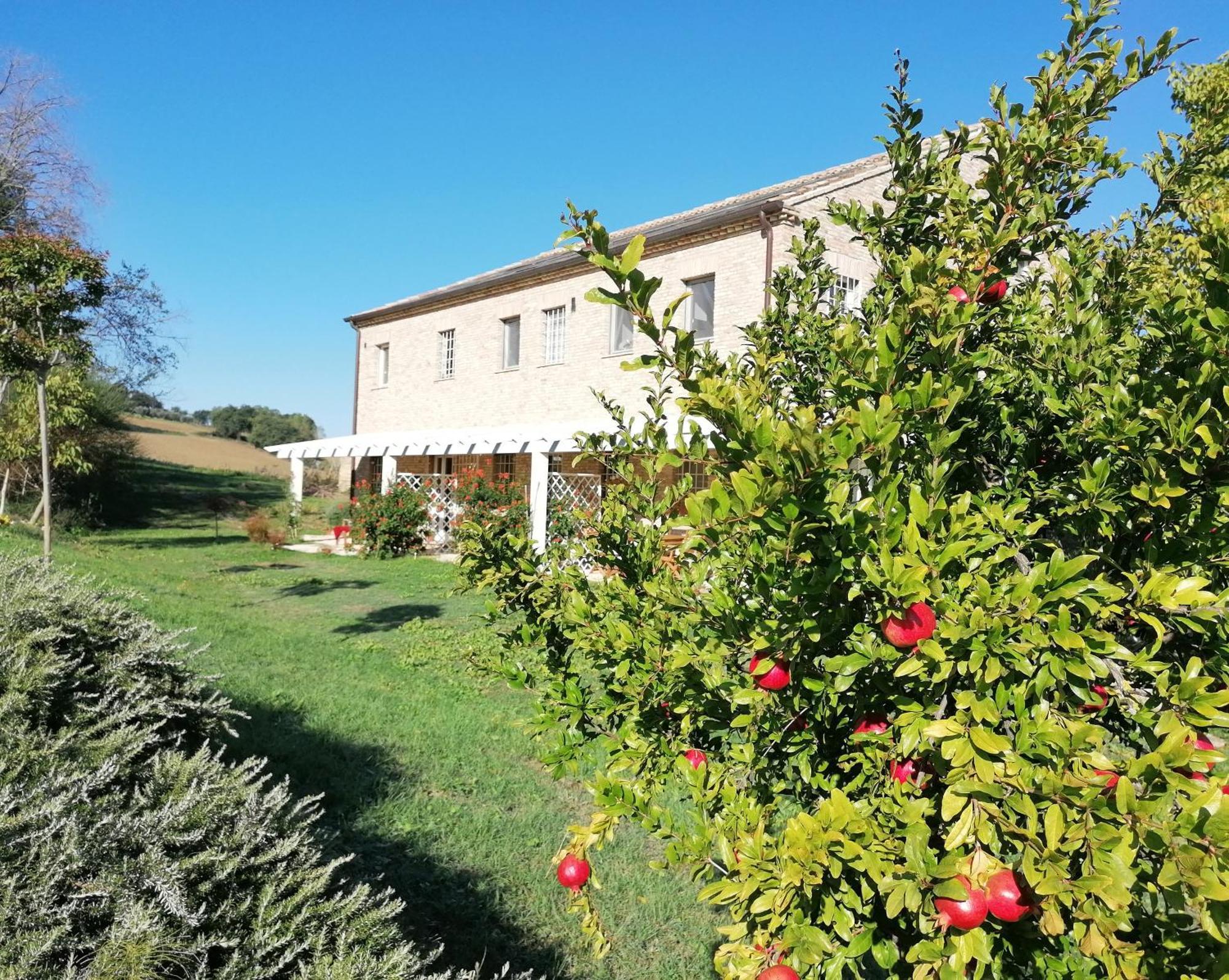 Il Giardino Nella Valle Belvedere Ostrense エクステリア 写真