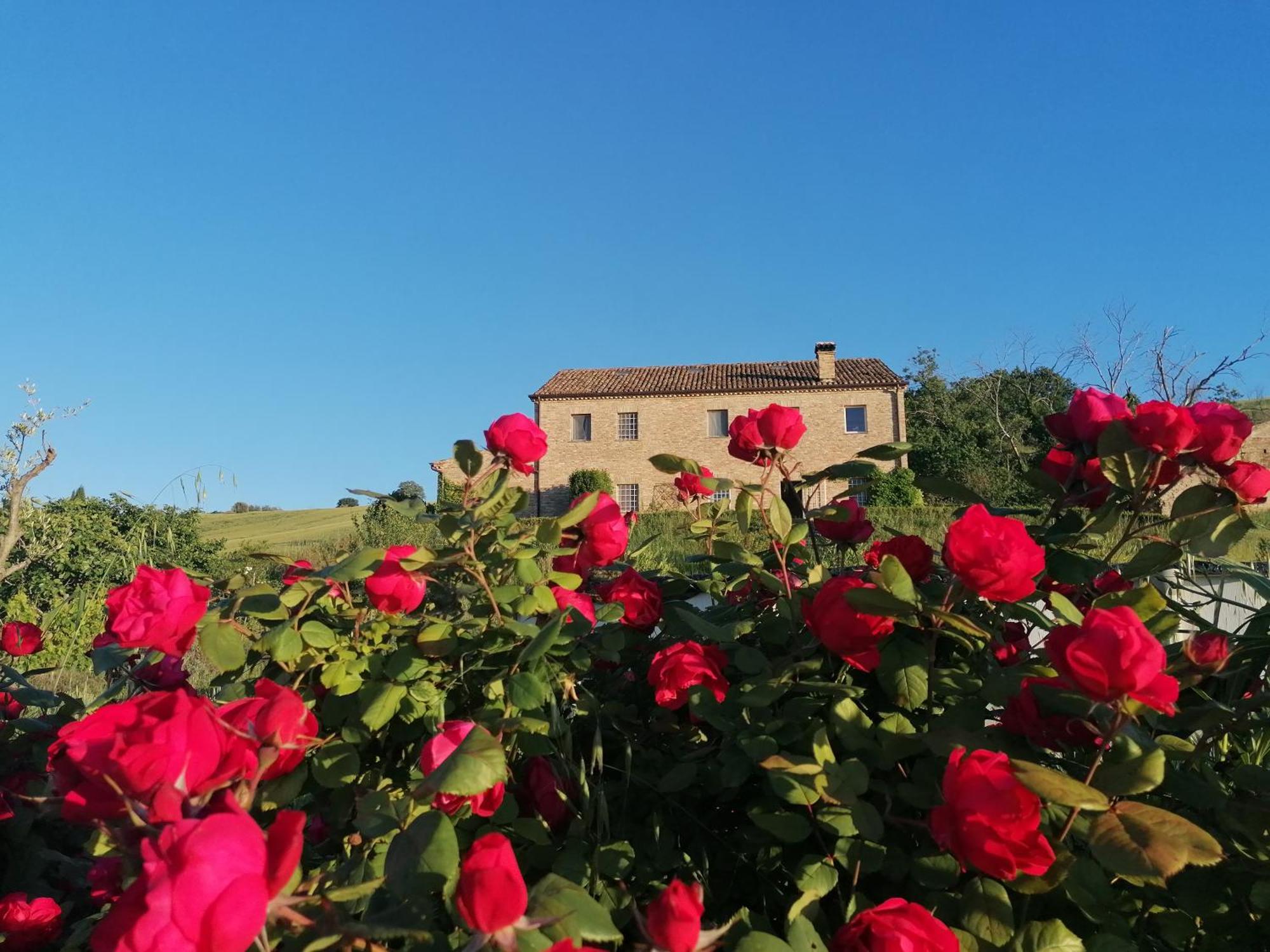 Il Giardino Nella Valle Belvedere Ostrense エクステリア 写真