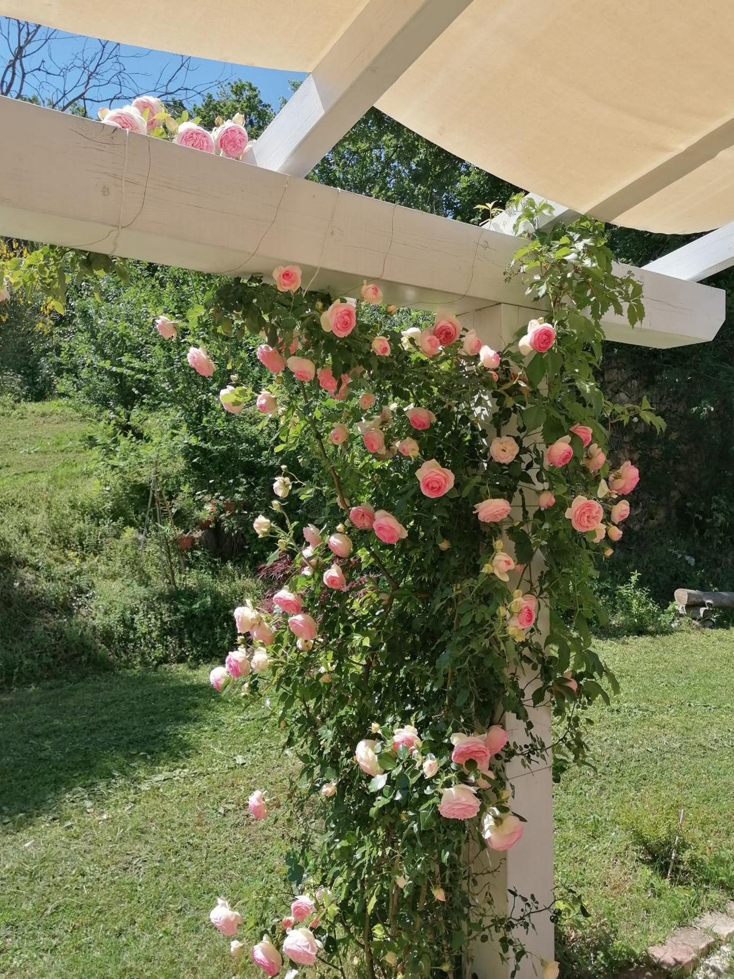 Il Giardino Nella Valle Belvedere Ostrense エクステリア 写真