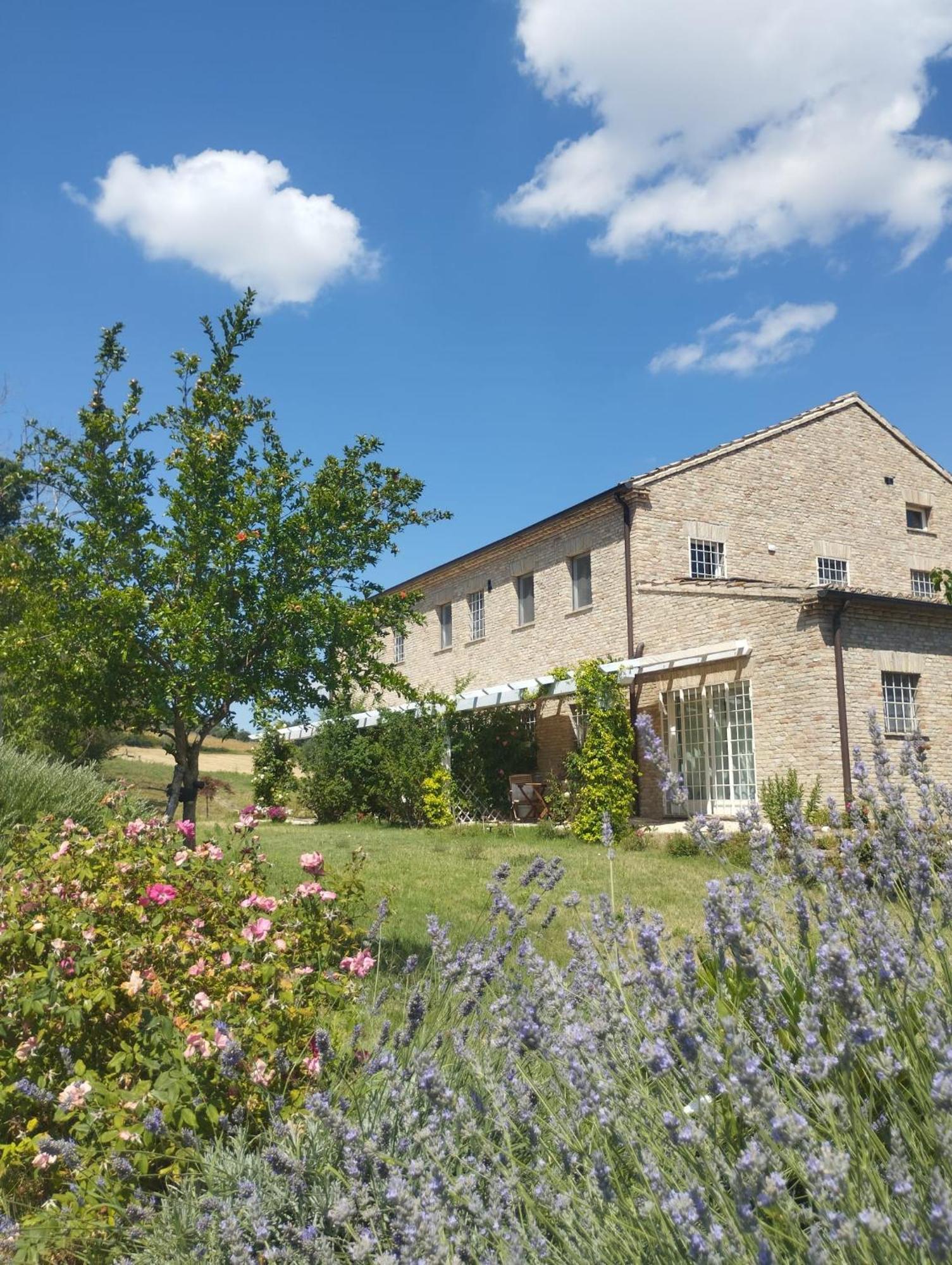 Il Giardino Nella Valle Belvedere Ostrense エクステリア 写真